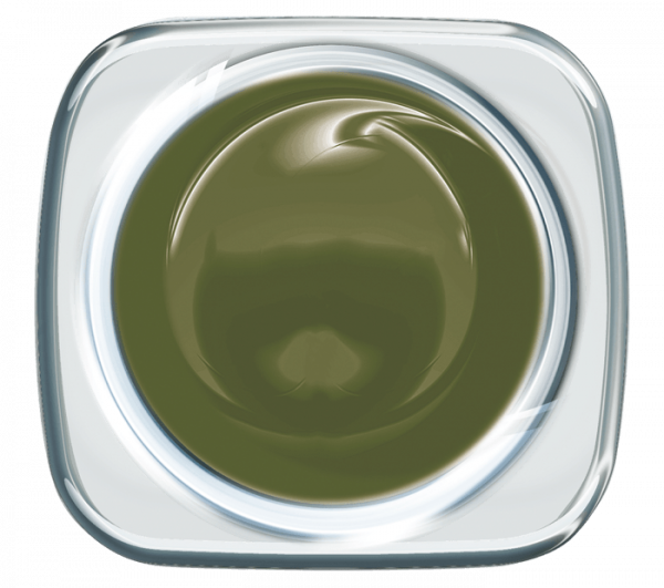Colour UV Gel Vintage Green 926