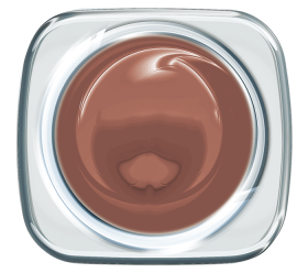 Colour UV Gel Highlife Cognac 843