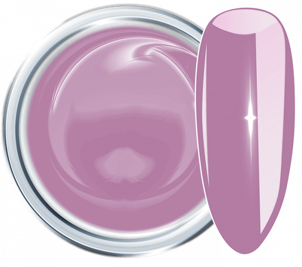 Colour UV Gel Dianthus Violet 832