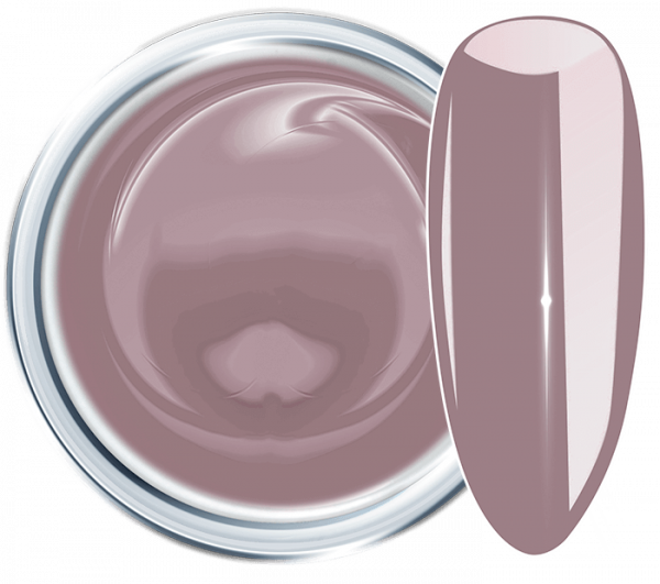Colour UV Gel Dreamy Dove 848