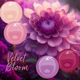Colour Set Velvet Bloom 2025